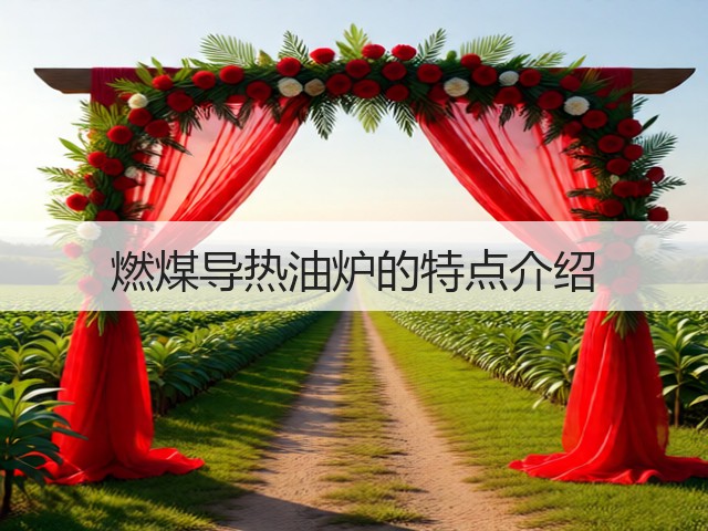 燃煤导热油炉的特点介绍(图2)