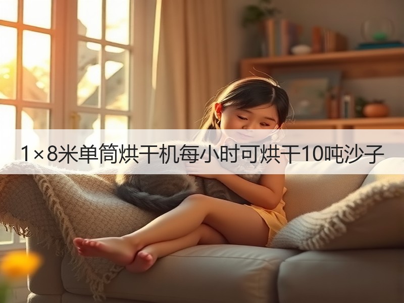 1×8米单筒烘干机每小时可烘干10吨沙子