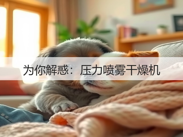 为你解惑：压力喷雾干燥机(图2)