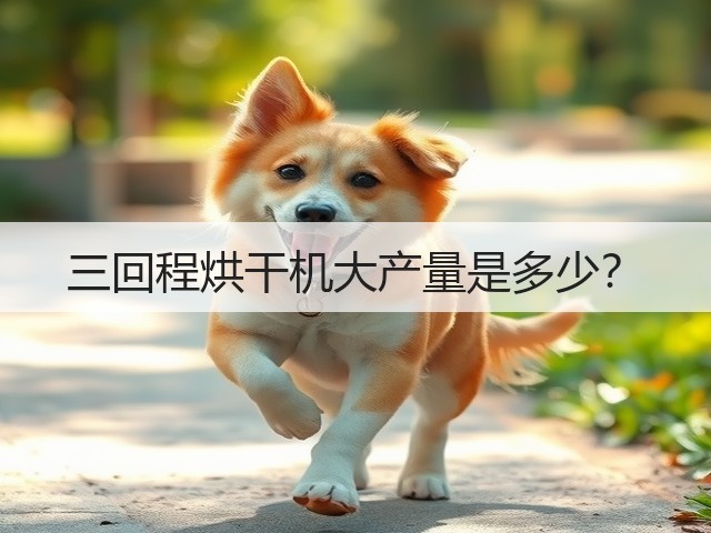 三回程烘干机大产量是多少？(图1)