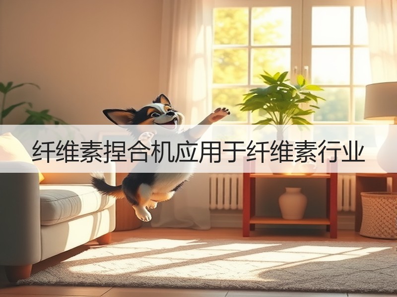 纤维素捏合机应用于纤维素行业