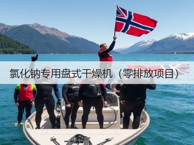 氯化钠专用盘式干燥机（零排放项目）(图3)