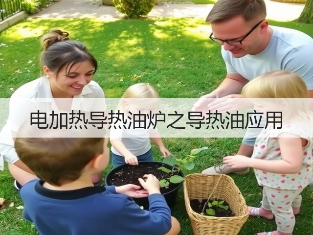 电加热导热油炉之导热油应用(图1)
