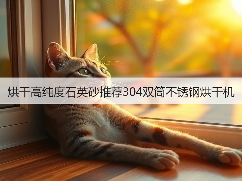 烘干高纯度石英砂推荐304双筒不锈钢烘干机