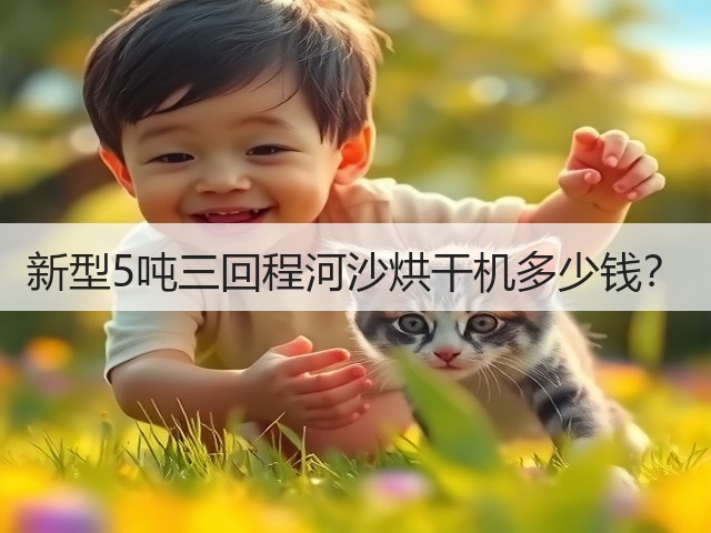 新型5吨三回程河沙烘干机多少钱？(图2)