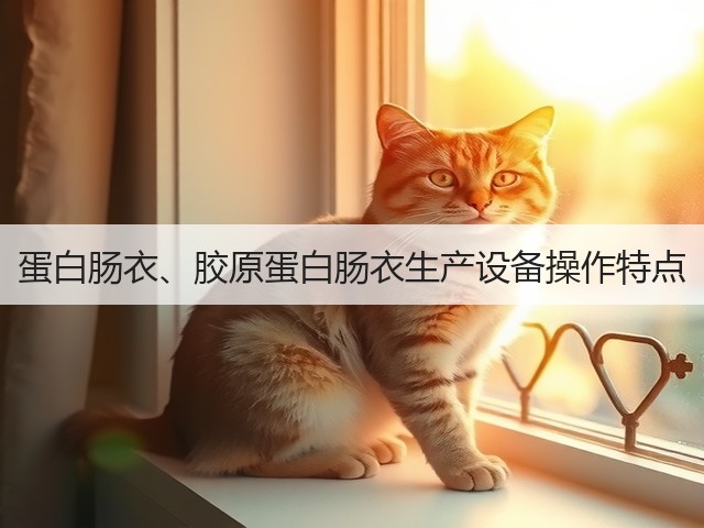 蛋白肠衣、胶原蛋白肠衣生产设备操作特点(图1)