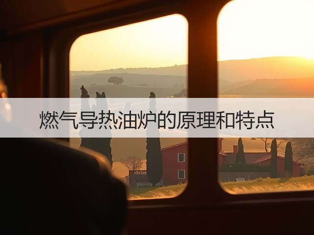 燃气导热油炉的原理和特点(图2) 燃气导热油炉的原理和特点(图2)