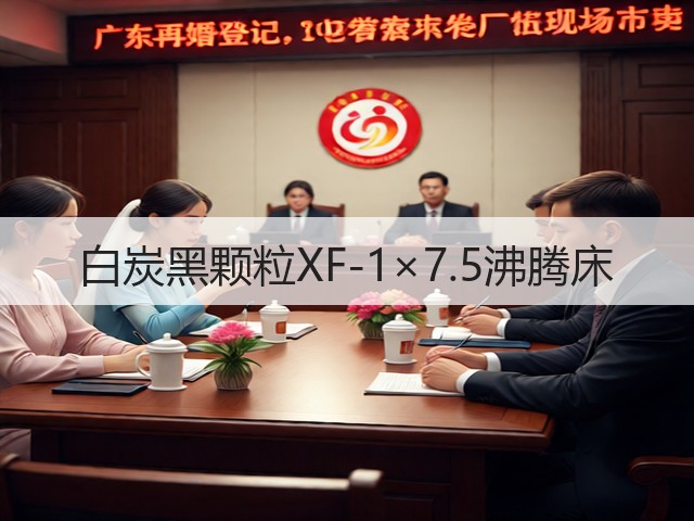 白炭黑颗粒XF-1×7.5沸腾床(图1)