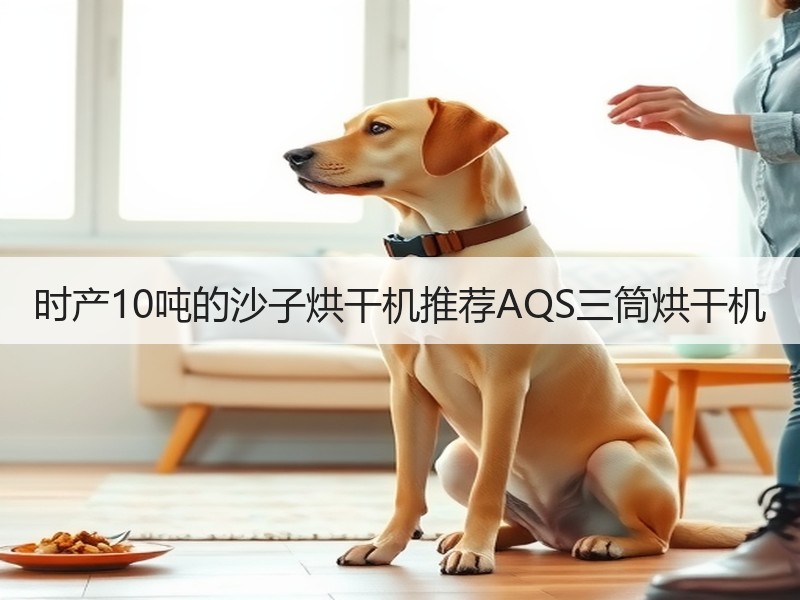 时产10吨的沙子烘干机推荐AQS三筒烘干机