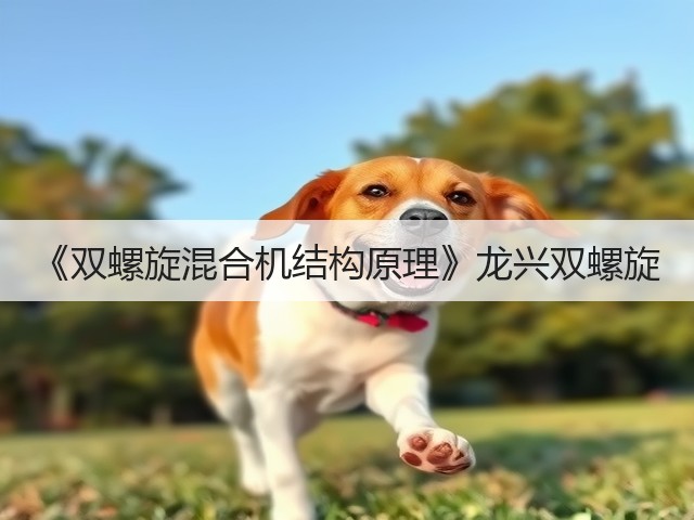 《双螺旋混合机结构原理》龙兴双螺旋(图1)