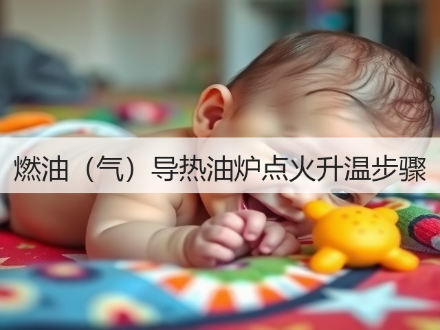 燃油(气)导热油炉点火升温步骤(图1) 燃油(气)导热油炉点火升温步骤(图1)