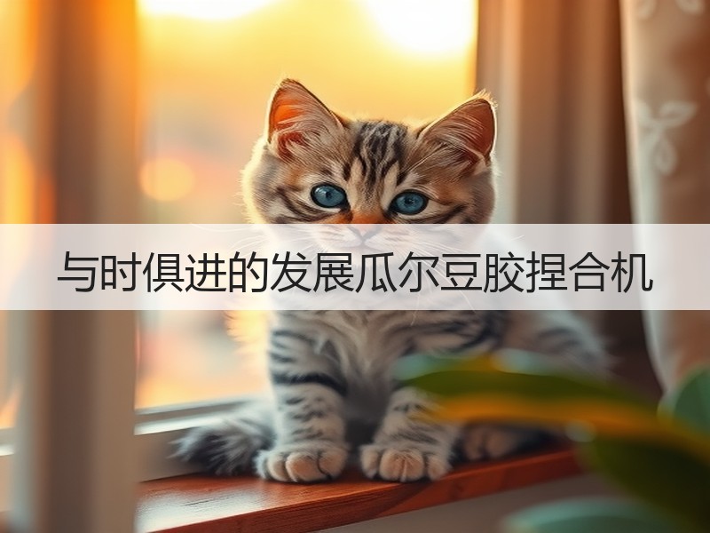 与时俱进的发展瓜尔豆胶捏合机