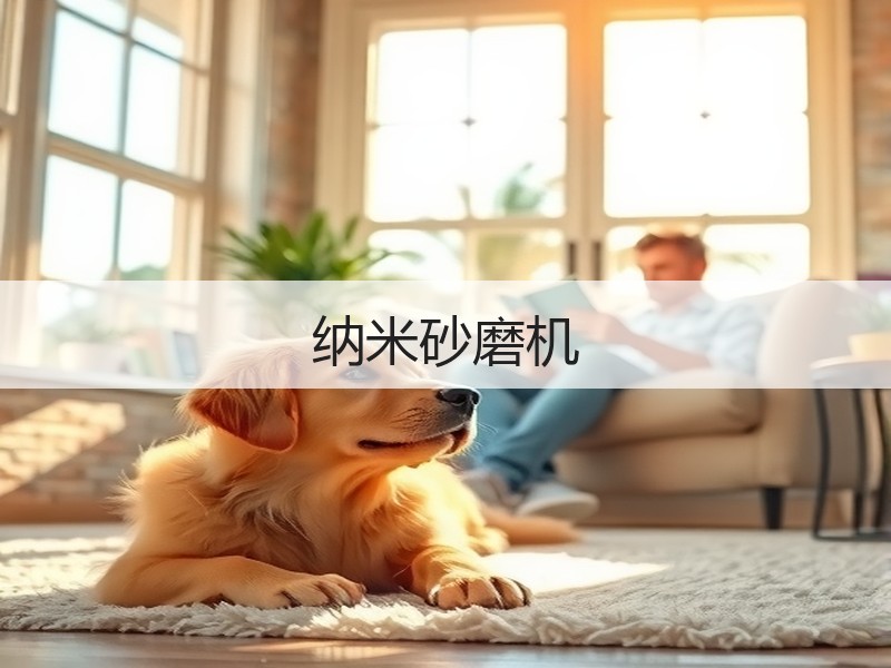 纳米砂磨机