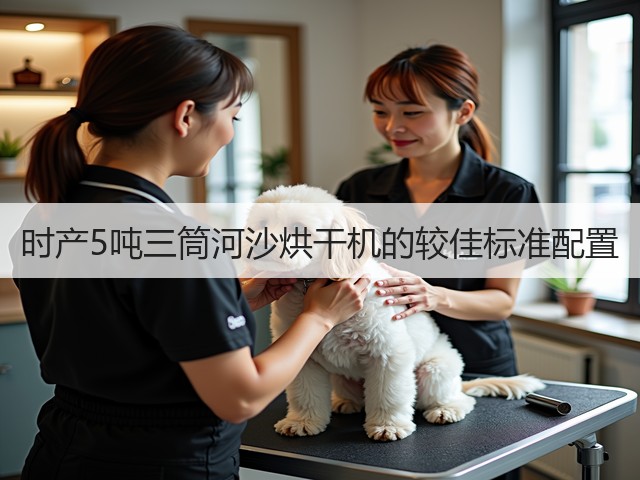 时产5吨三筒河沙烘干机的较佳标准配置(图3) 时产5吨三筒河沙烘干机的较佳标准配置(图3)