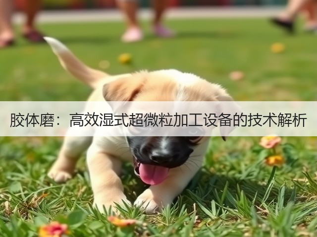 胶体磨:高效湿式超微粒加工设备的技术解析(图2) 胶体磨:高效湿式超微粒加工设备的技术解析(图2)