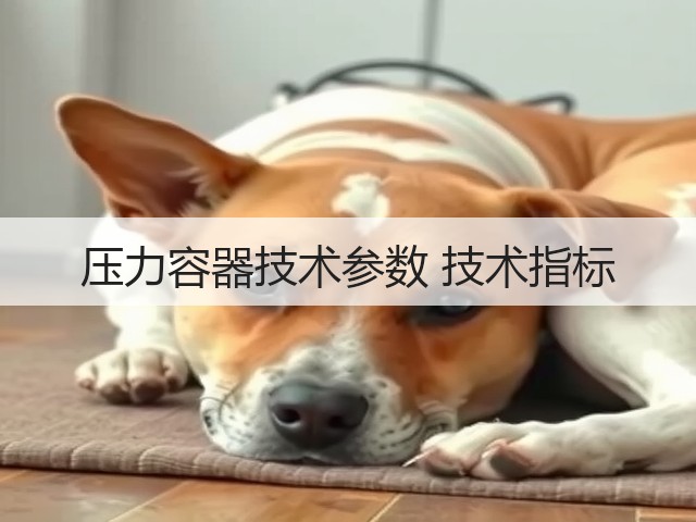 压力容器技术参数 技术指标(图2) 压力容器技术参数 技术指标(图2)