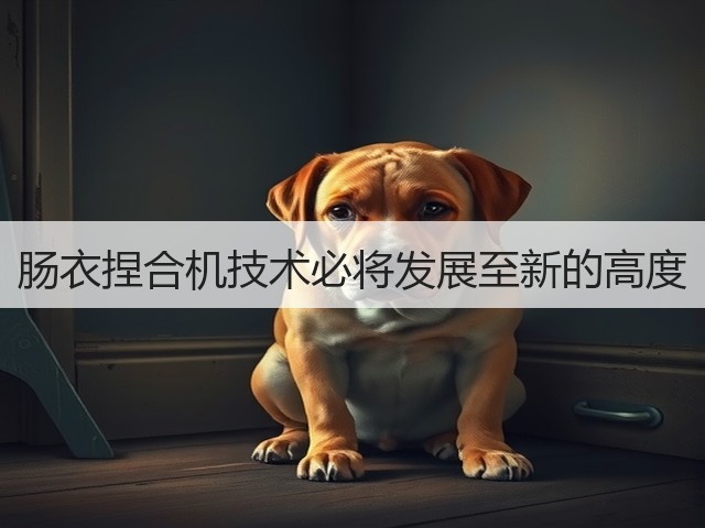 肠衣捏合机技术必将发展至新的高度(图2) 肠衣捏合机技术必将发展至新的高度(图2)