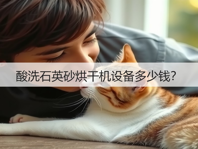 酸洗石英砂烘干机设备多少钱？