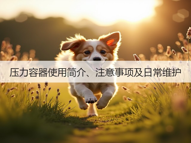 压力容器使用简介、注意事项及日常维护(图1) 压力容器使用简介、注意事项及日常维护(图1)