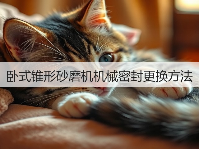 卧式锥形砂磨机机械密封更换方法(图2) 卧式锥形砂磨机机械密封更换方法(图2)