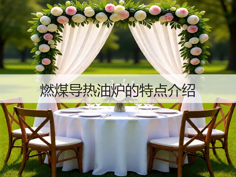 燃煤导热油炉的特点介绍 燃煤导热油炉的特点介绍