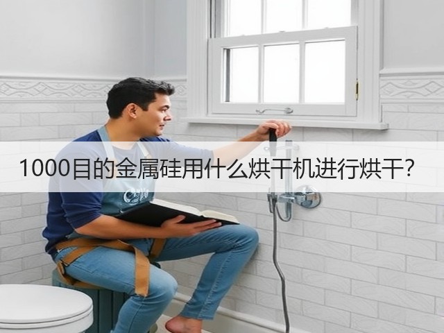 1000目的金属硅用什么烘干机进行烘干？(图1)