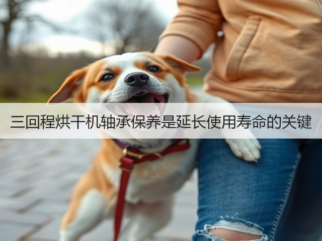 三回程烘干机轴承保养是延长使用寿命的关键(图2)