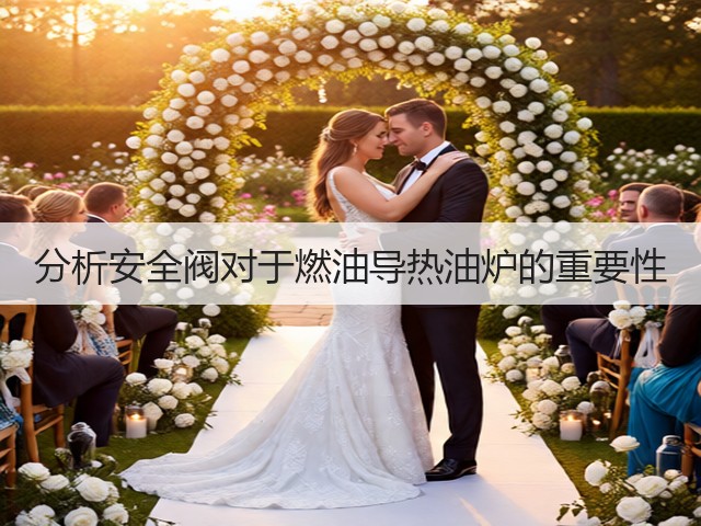 分析安全阀对于燃油导热油炉的重要性(图1) 分析安全阀对于燃油导热油炉的重要性(图1)
