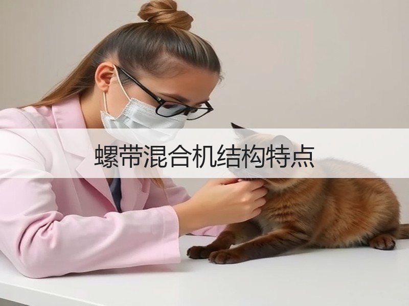 螺带混合机结构特点 螺带混合机结构特点