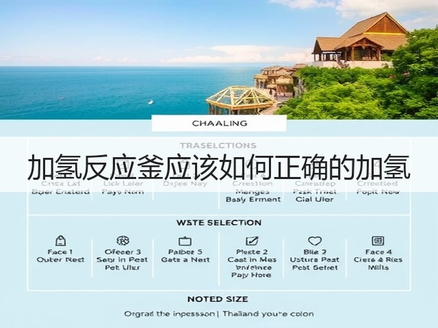 加氢反应釜应该如何正确的加氢(图2) 加氢反应釜应该如何正确的加氢(图2)