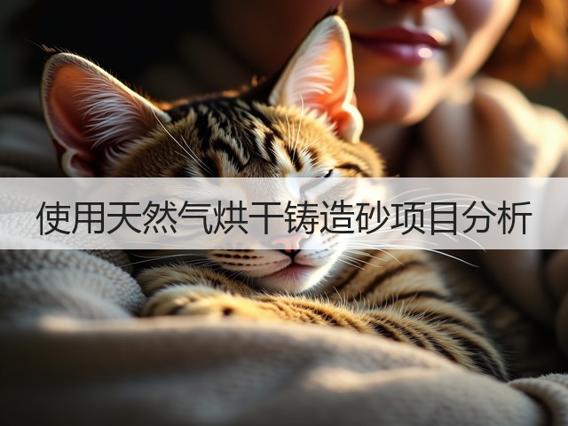 使用天然气烘干铸造砂项目分析(图2)