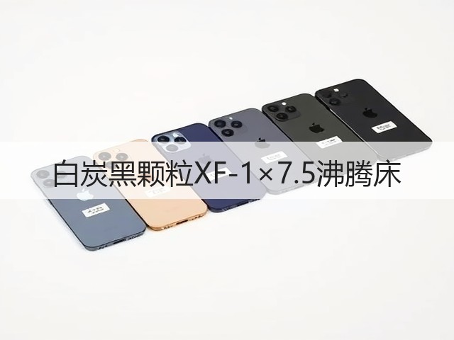 白炭黑颗粒XF-1×7.5沸腾床(图2)