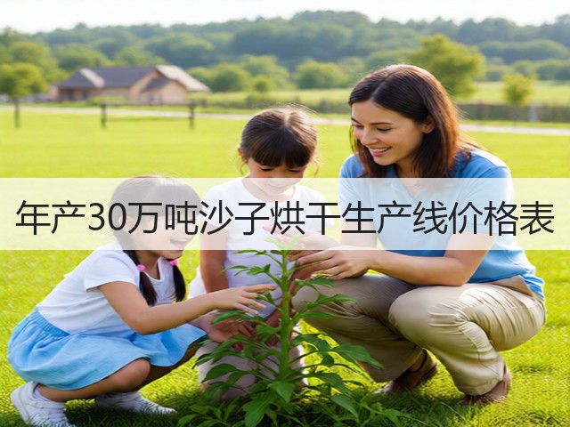 年产30万吨沙子烘干生产线价格表(图1)