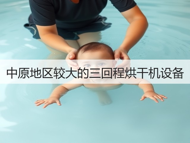 中原地区较大的三回程烘干机设备(图2) 中原地区较大的三回程烘干机设备(图2)