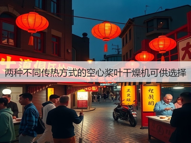 两种不同传热方式的空心桨叶干燥机可供选择
