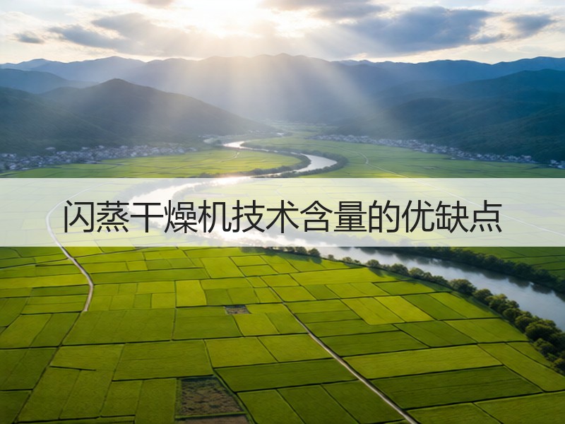 闪蒸干燥机技术含量的优缺点