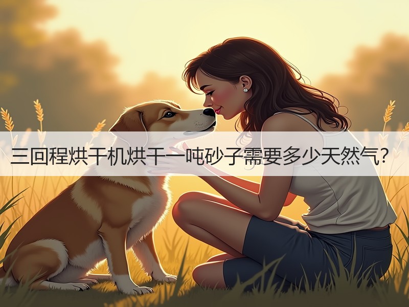 三回程烘干机烘干一吨砂子需要多少天然气？