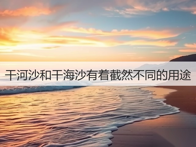 干河沙和干海沙有着截然不同的用途(图2)