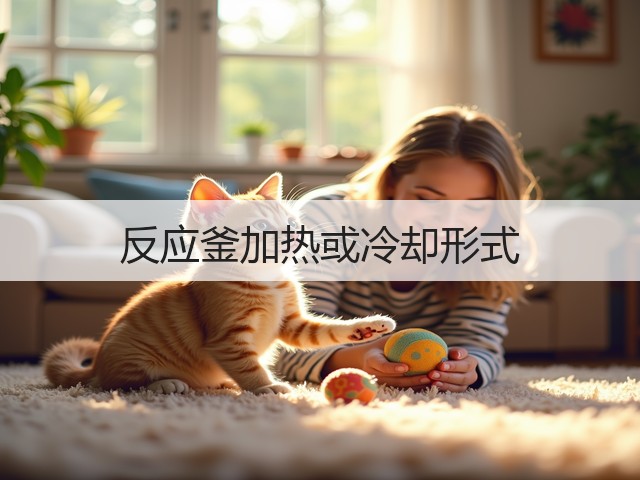 反应釜加热或冷却形式(图2) 反应釜加热或冷却形式(图2)