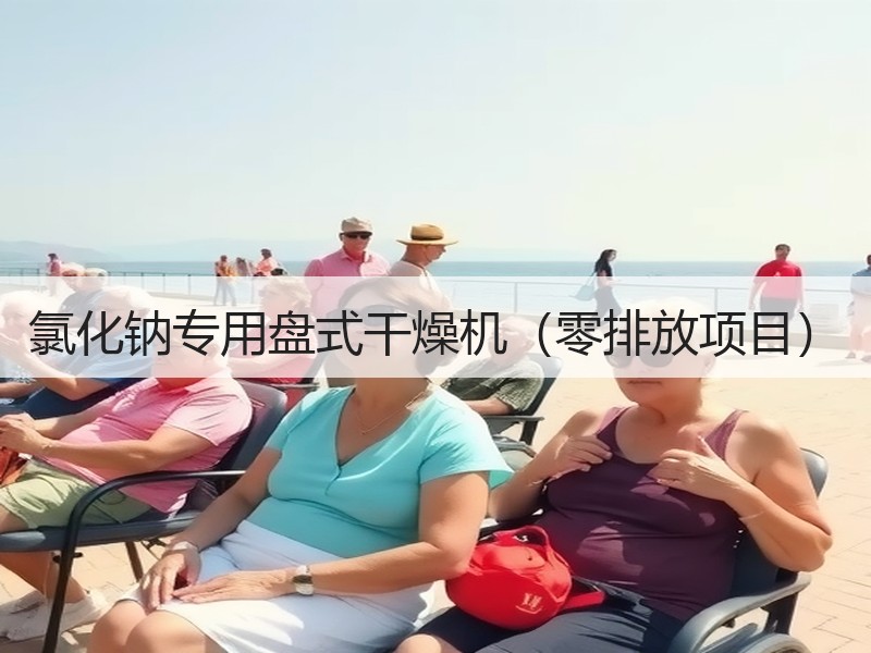 氯化钠专用盘式干燥机(零排放项目) 氯化钠专用盘式干燥机(零排放项目)