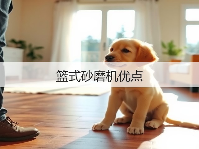 篮式砂磨机优点(图1)