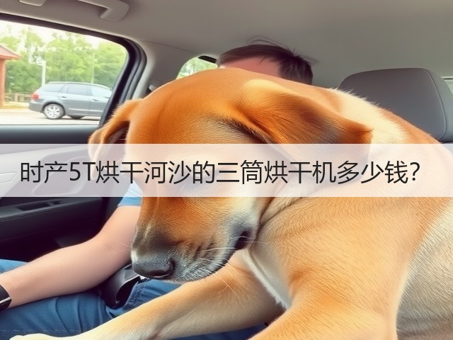 时产5T烘干河沙的三筒烘干机多少钱？(图3)
