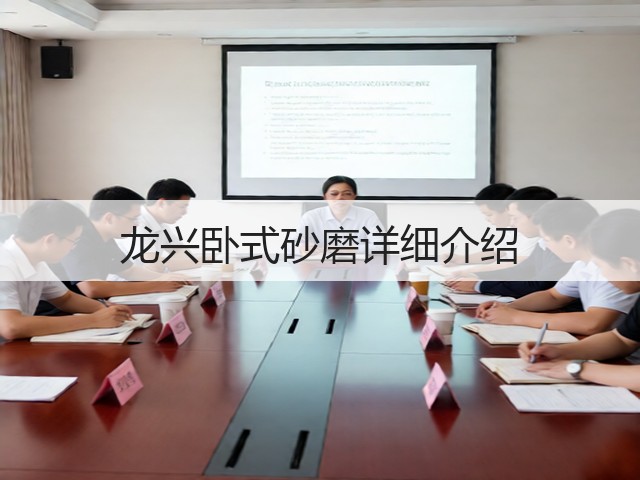 龙兴卧式砂磨详细介绍(图2)