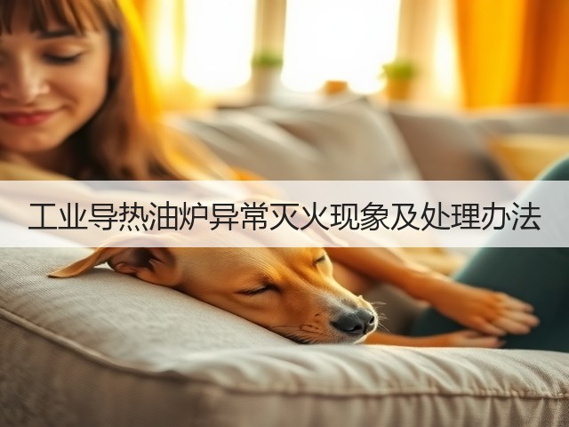 工业导热油炉异常灭火现象及处理办法(图1) 工业导热油炉异常灭火现象及处理办法(图1)