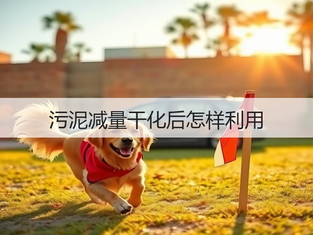 污泥减量干化后怎样利用(图2)