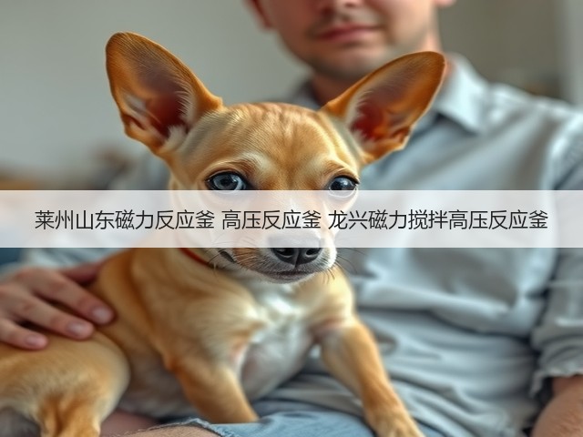 莱州山东磁力反应釜 高压反应釜 龙兴磁力搅拌高压反应釜(图3)