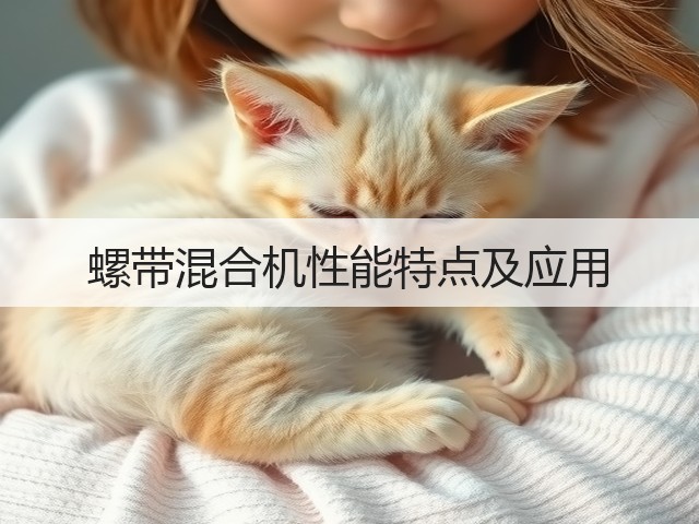 螺带混合机性能特点及应用(图1)