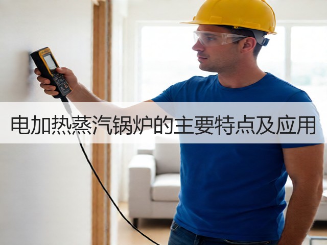 电加热蒸汽锅炉的主要特点及应用(图1)