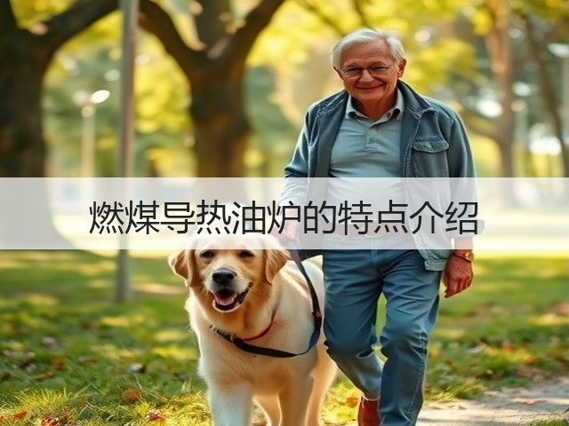 燃煤导热油炉的特点介绍(图1)