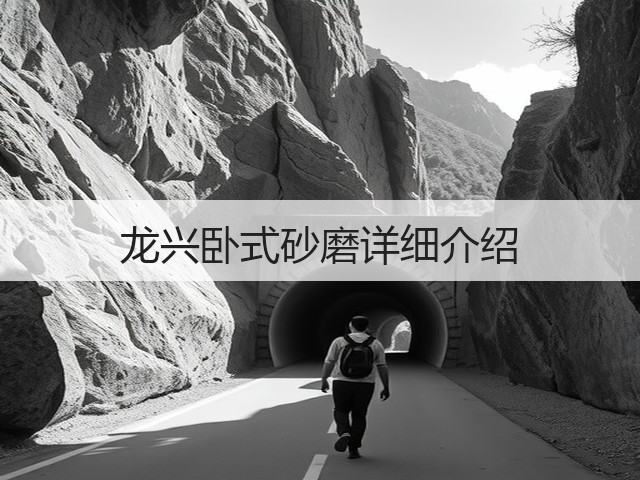 龙兴卧式砂磨详细介绍(图1)